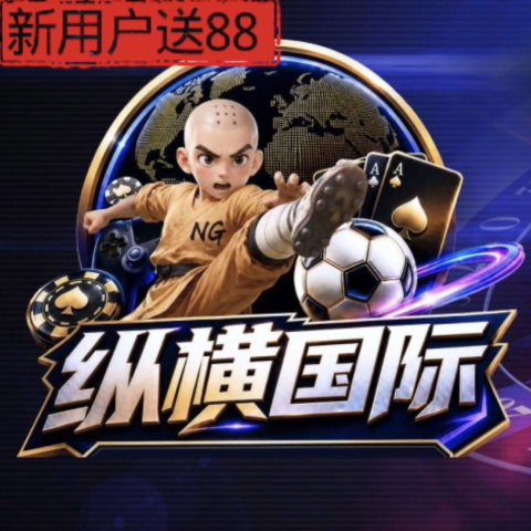 纵横国际